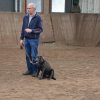 hundeausstellung 17.09.2017 in holten   niederlande  14